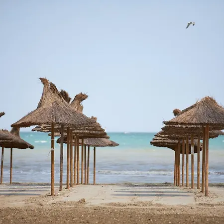 Apartamento Deko Alezzi Mamaia Năvodari