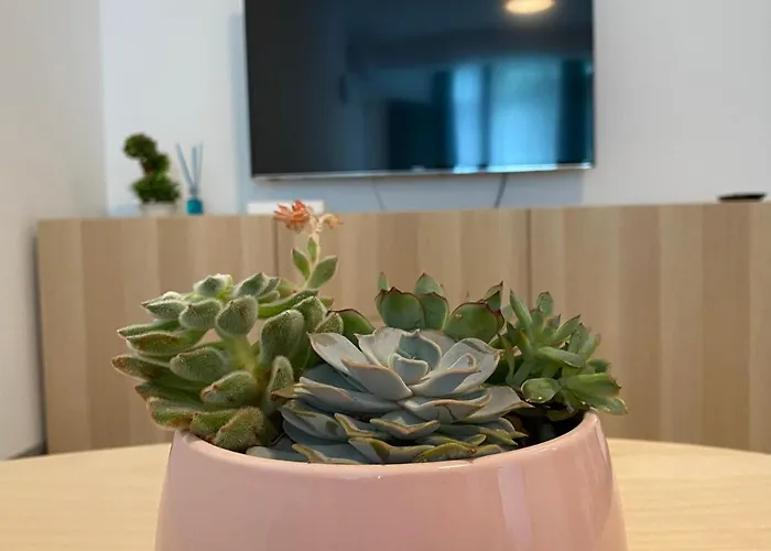 Deko Alezzi Mamaia Apartman